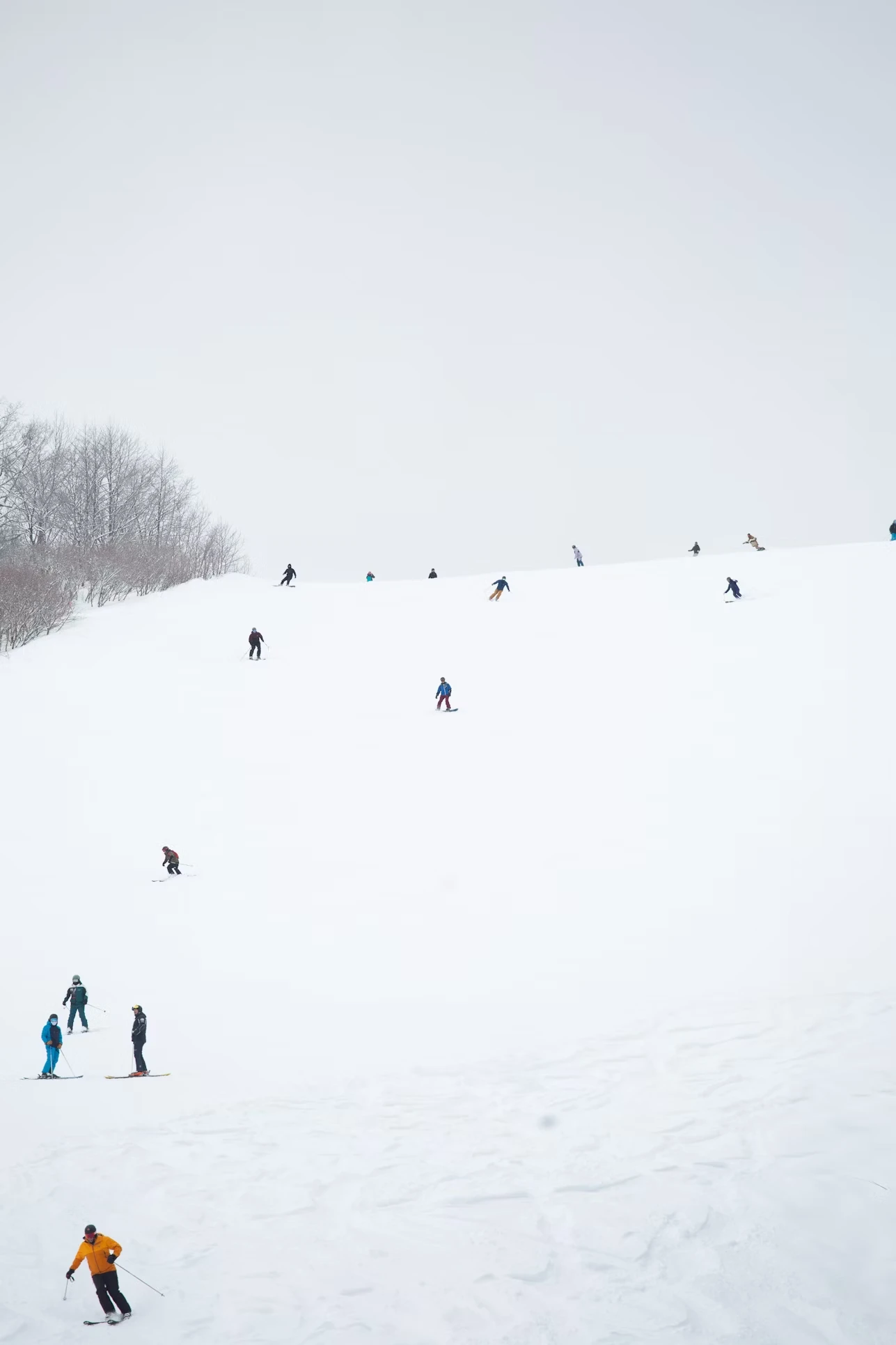 Tsugaike ski slope